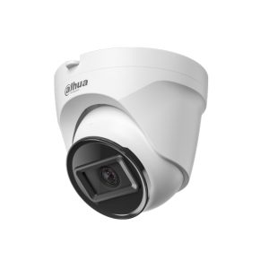 2MP IR Fixed-focal Eyeball Network Camera